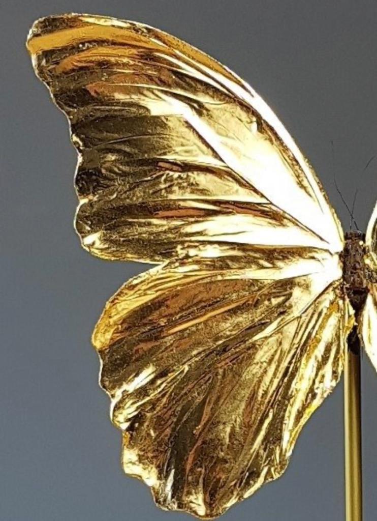 Artwork - Unieke 24kt bladgoud vergulde blauwe Morpho-vlinder