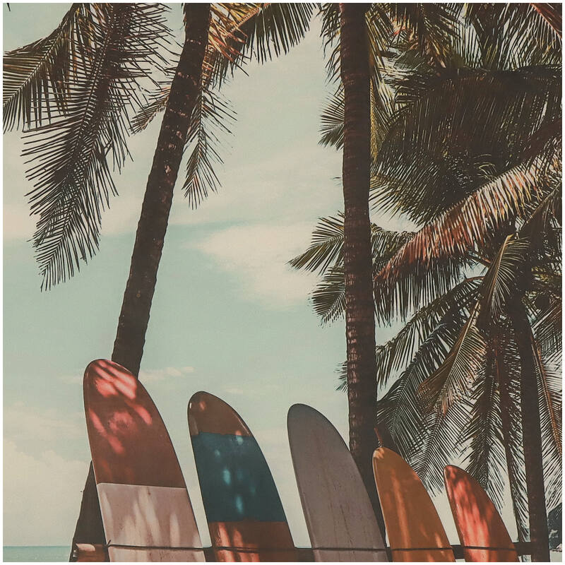 Wanddoek - Surfplanken 105x3x136cm