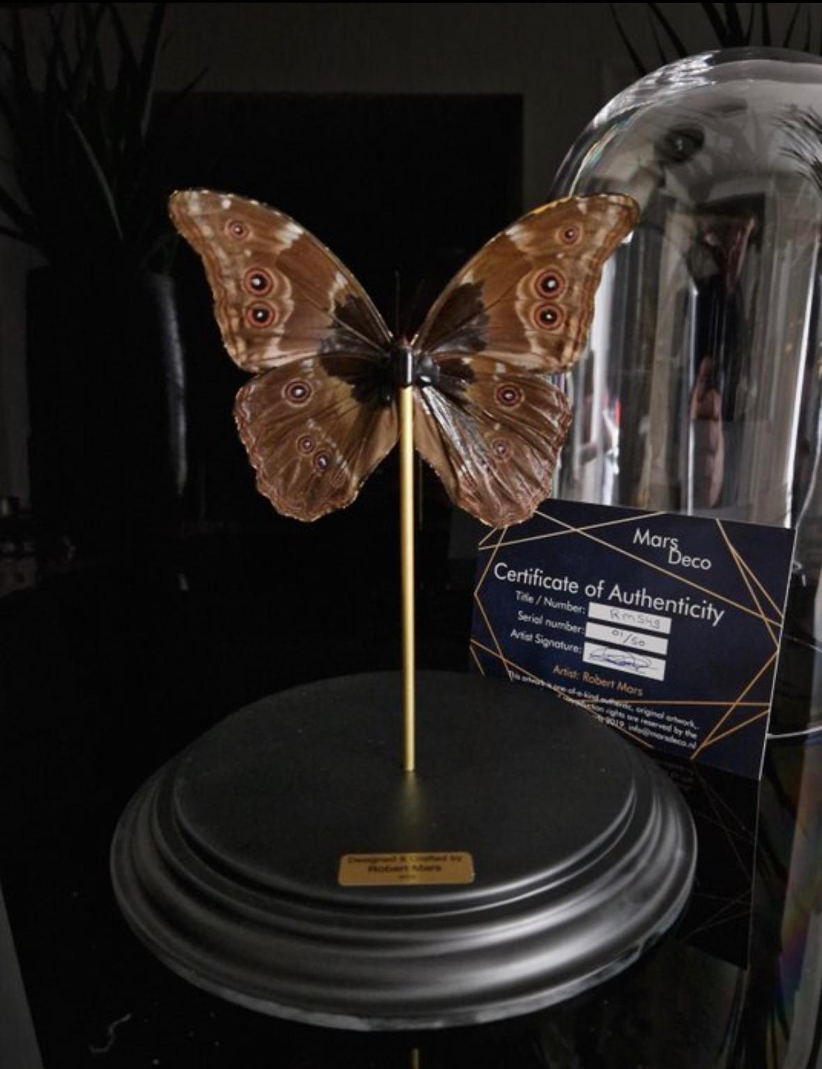 Artwork - Unieke 23kt bladgoud vergulde Morpho Didius vlinder