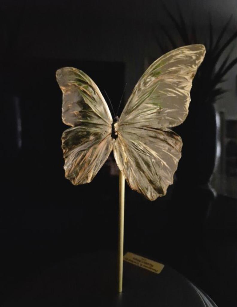 Artwork - Unieke 24kt bladgoud vergulde Menelaus vlinder