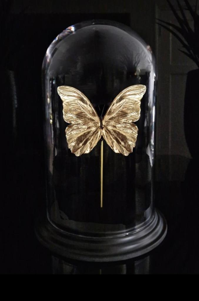 Artwork - Unieke 24kt bladgoud vergulde Menelaus vlinder